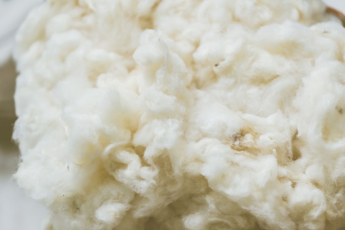 Foto: Adobe Stock