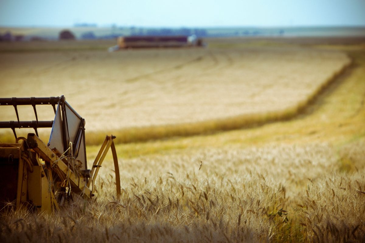 Foto: Adobe Stock