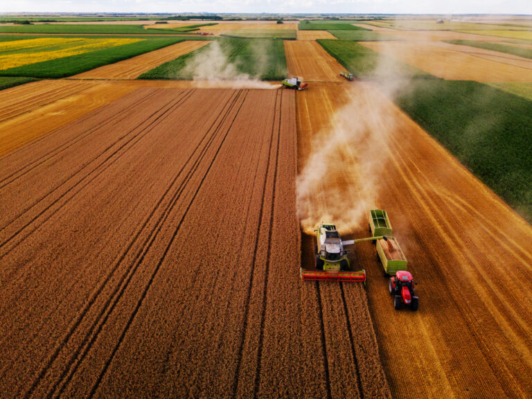 Semana de ajustes: após dados da Conab, mercado recalcula rumo das commodities
