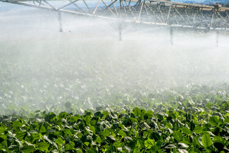 Primeiro polo de agricultura irrigada de Mato Grosso do Sul é lançado