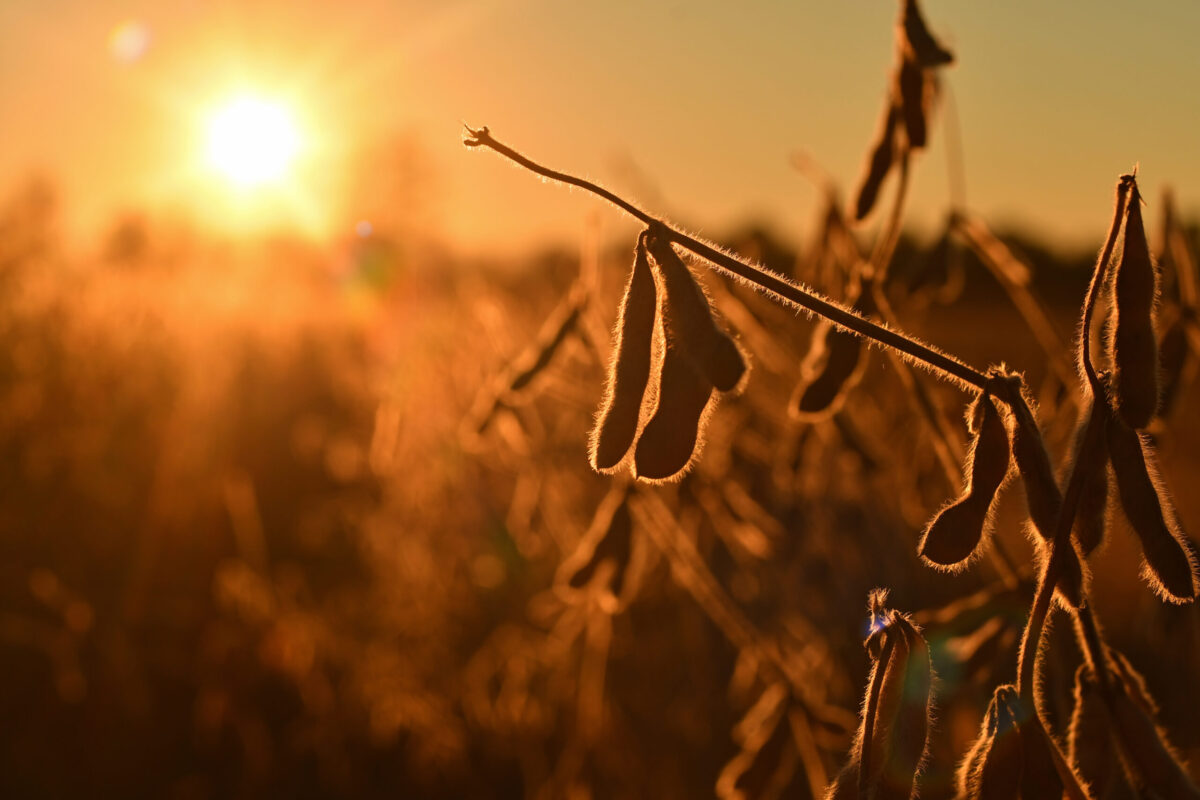 Foto: Adobe Stock