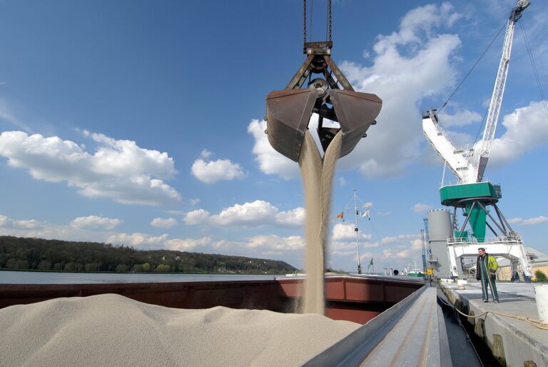 Produtor mato-grossense reduz compra de fertilizantes em 2024