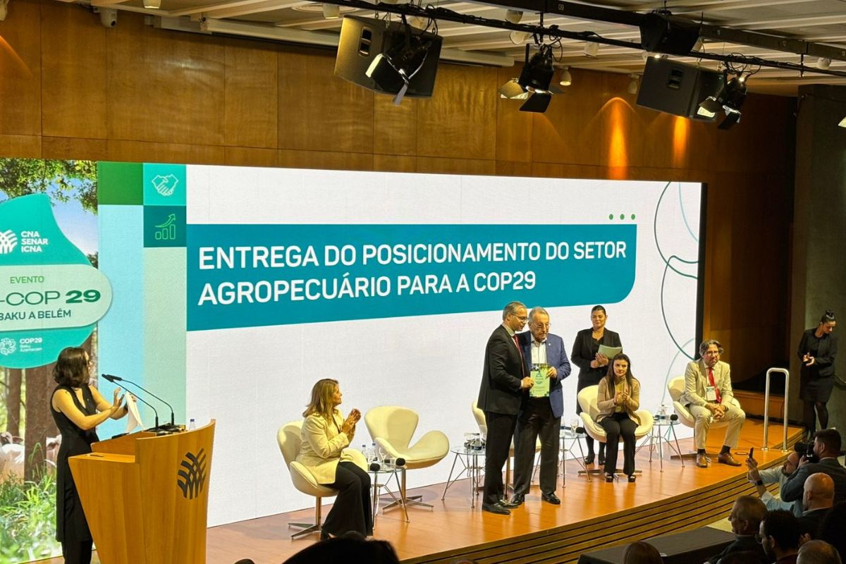 Foto: Daumildo Júnior/Agro Estadão