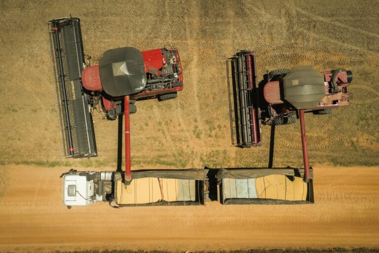 Conab aponta recorde para safra 2024/2025, com 322,47 milhões de toneladas de grãos 