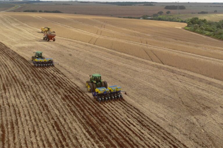 Plantio de soja avança no Paraná e supera 70% da área