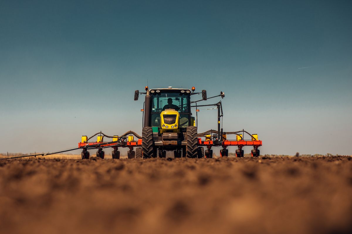 Foto: Adobe Stock