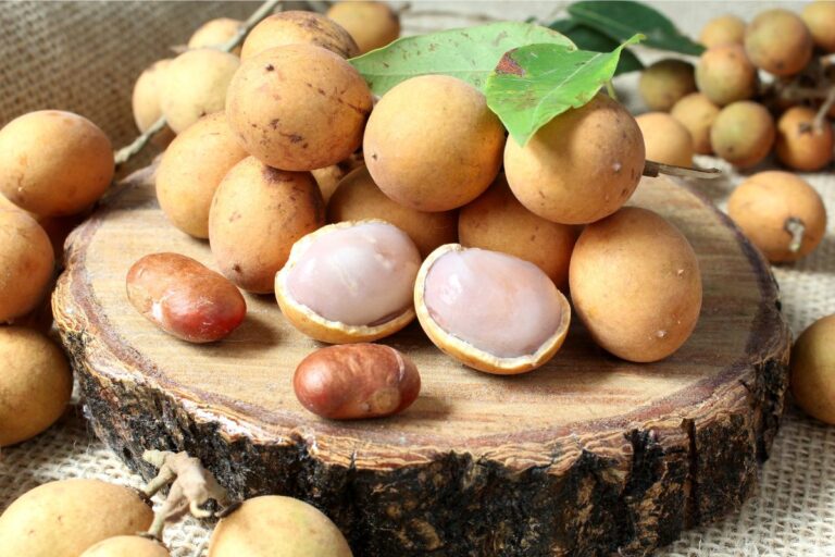 Pitomba: características, cultivo e benefícios