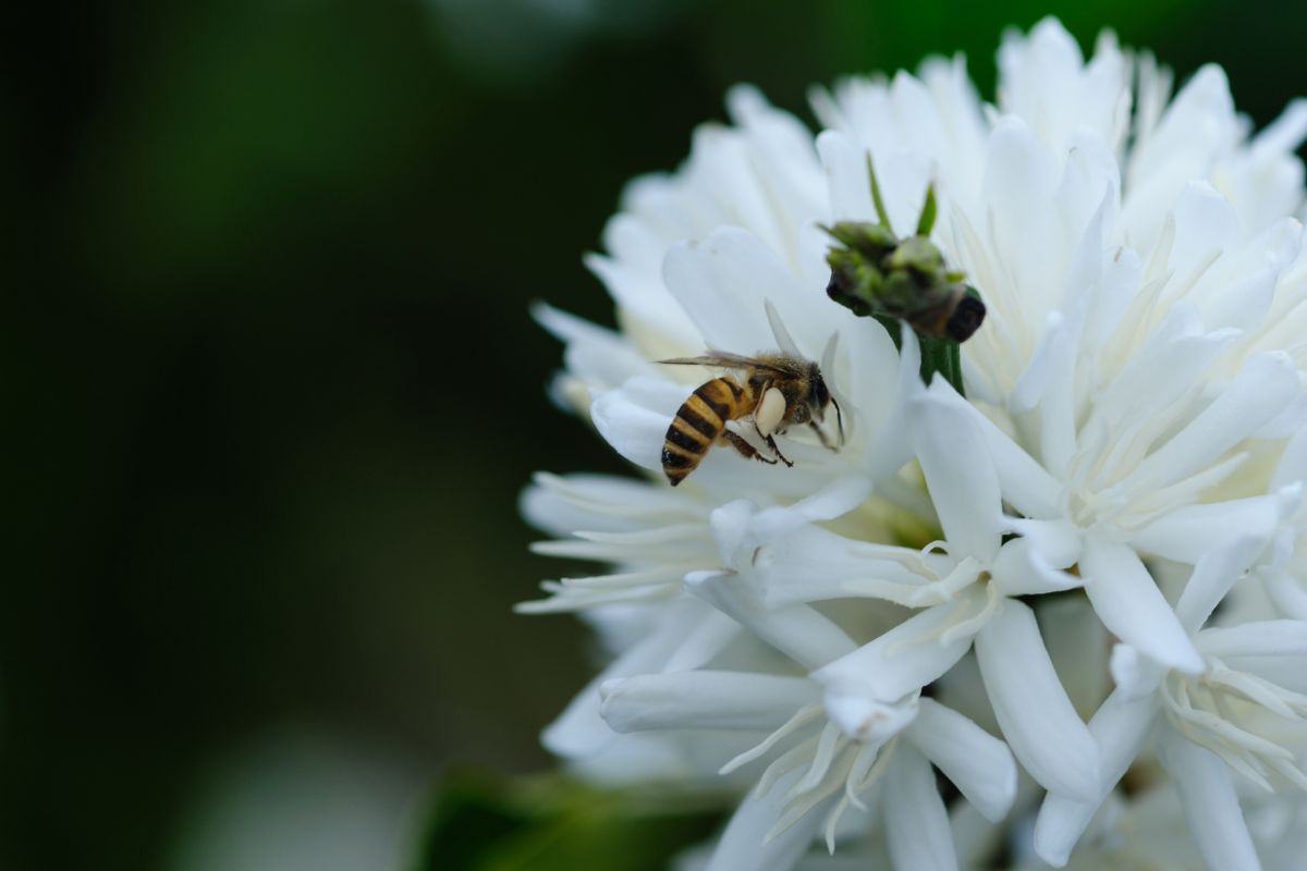 Foto: Adobe Stock