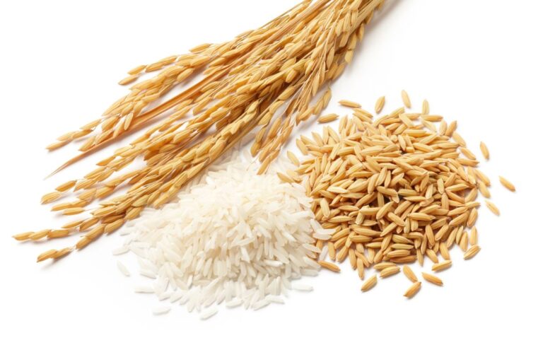 Fortes chuvas no RS interrompem cultivo de arroz e reduzem liquidez