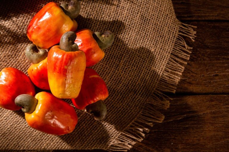 Você sabia que caju não é fruta?