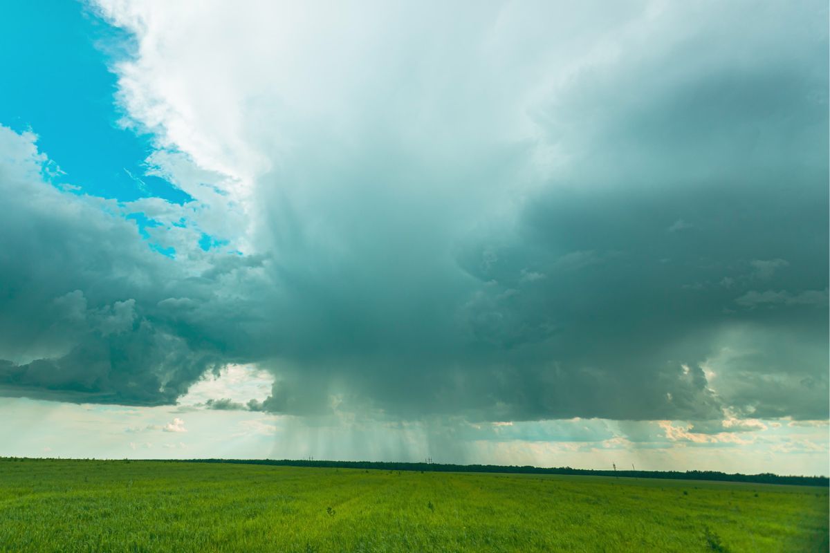 Foto: Adobe Stock