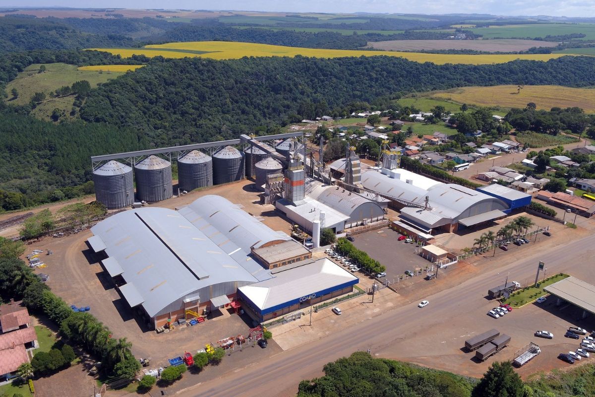Foto: Coamo/Divulgação