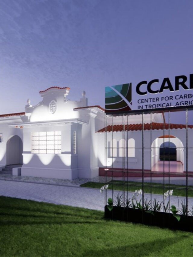Nome Categoria