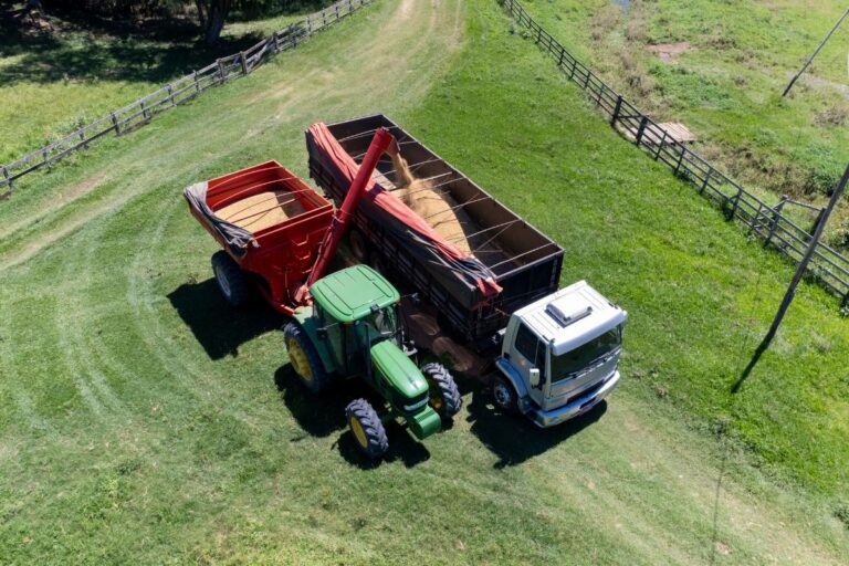 Brasil deve exportar 4,08 milhões/t de soja e 5,68 milhões/t de milho, diz Anec