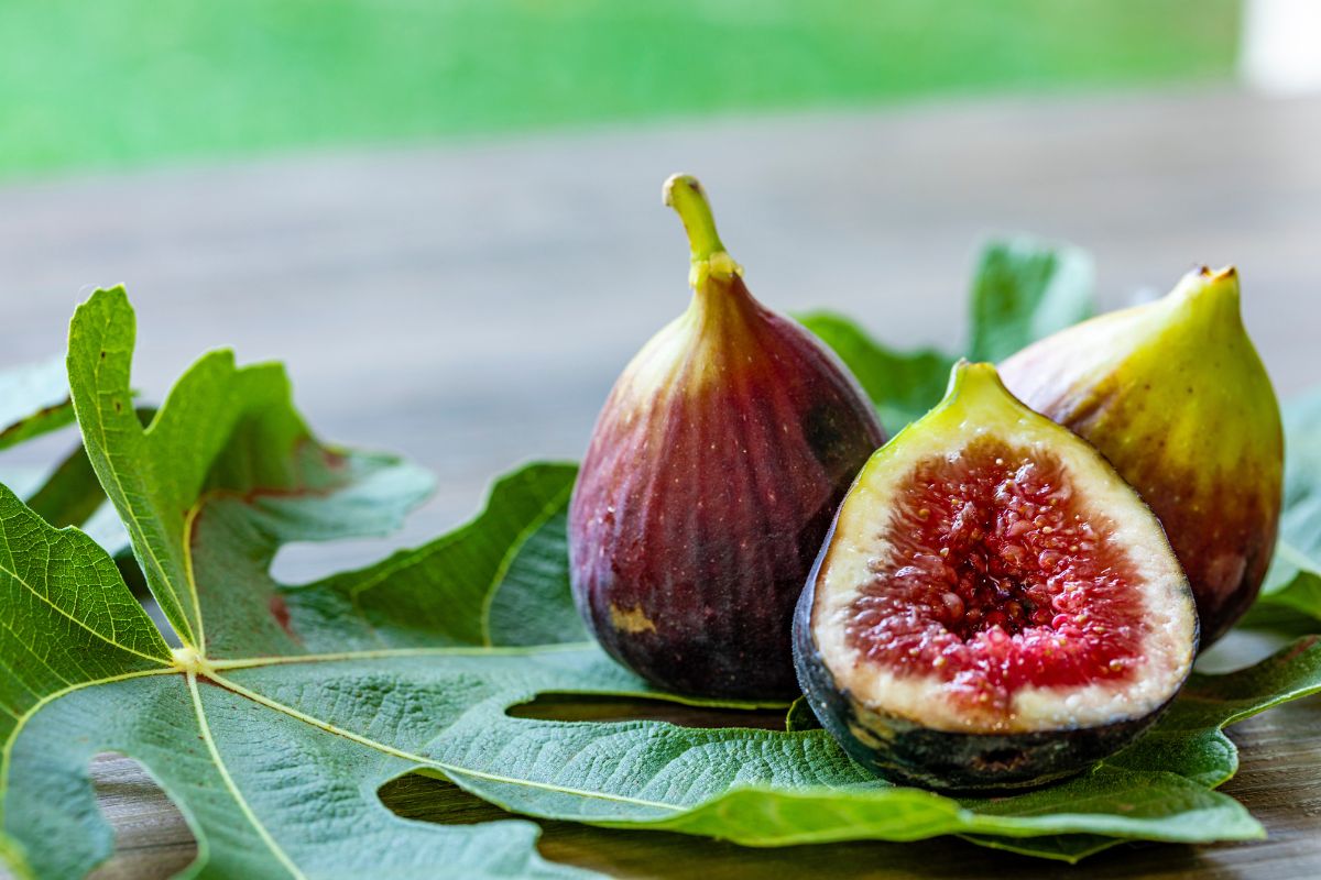 Foto: Adobe Stock