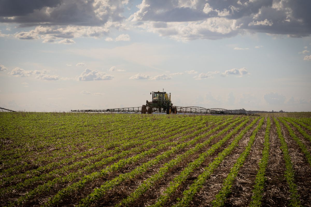 Foto: Basf/Divulgação
