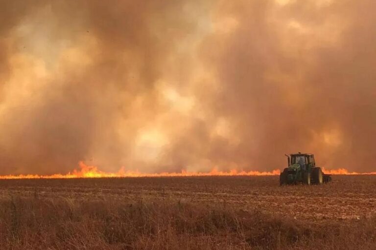 Incêndios causaram R$ 2,67 bilhões em prejuízos ao setor canavieiro no Centro-Sul