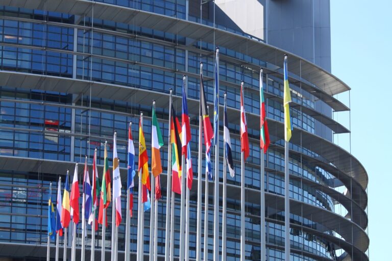 Parlamento Europeu aprova medida que pede revisão em categorização de risco da EUDR