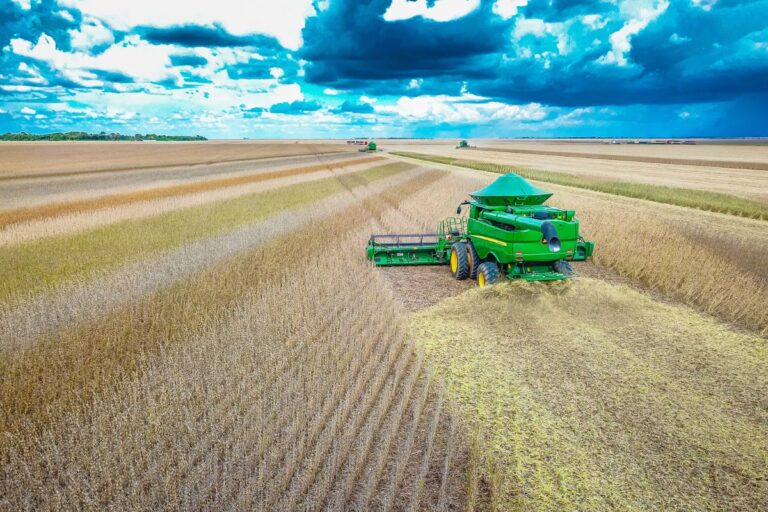 Lei contrária à moratória da soja é sancionada em Mato Grosso