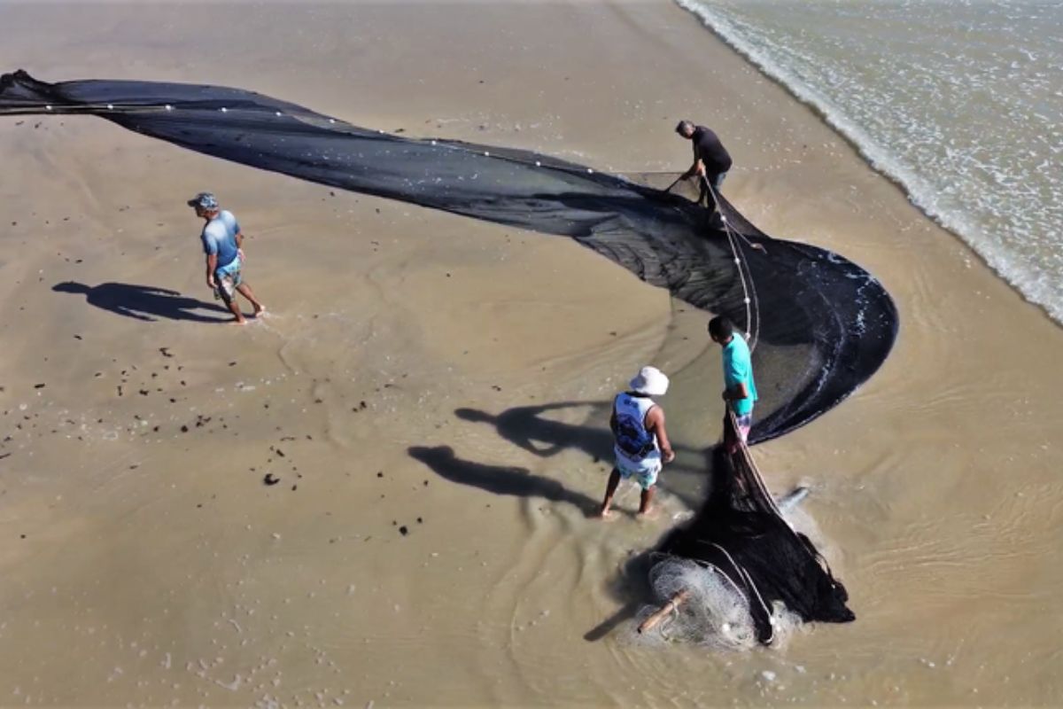 Foto: Ministério da Pesca e Aquicultura