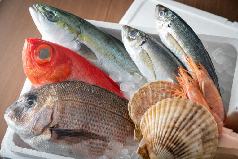 EUA deixam de exigir do Brasil certificação sanitária para exportação de pescados