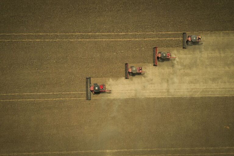 Mesmo com queda na participação no PIB, Agro segue motor da economia