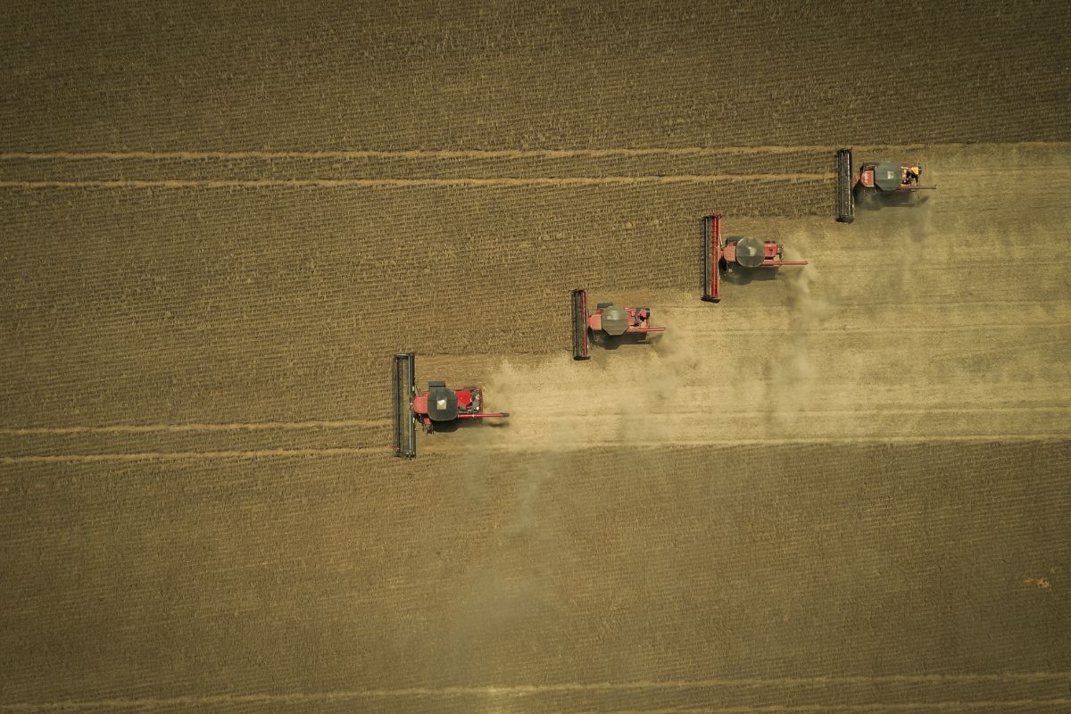 No ano, a agricultura acumula queda de 5,1%, enquanto a pecuária sustenta leve alta de 0,5%. Foto: Wenderson Araujo/CNA