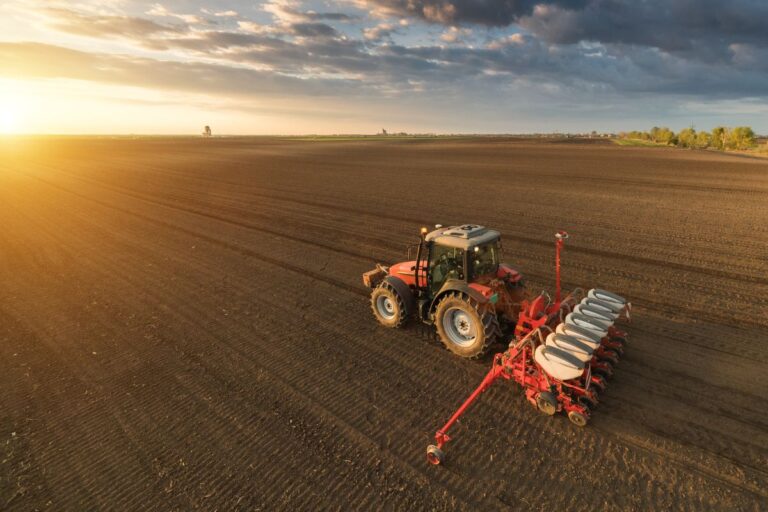 Plantio da safra de soja 2024/25 atinge 36%, diz AgRural