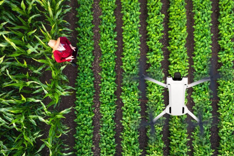 Produtividade Agrícola: como melhorar os resultados na fazenda