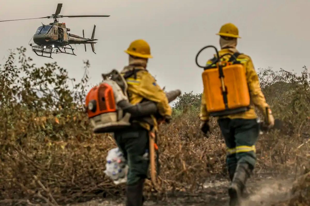 Brigadistas do Prevfogo Ibama combatem focos de incêndio nos arredores de Corumbá-MS. Foto: Marcelo Camargo/Agência Brasil