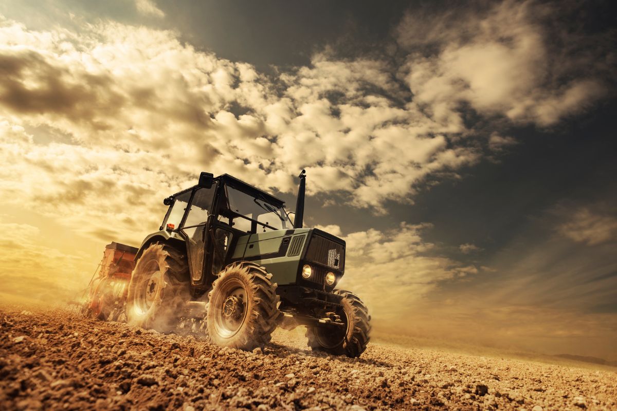 Foto: Adobe Stock