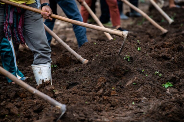 Agronegócio emprega 28,6 milhões de pessoas no 2º trimestre do ano