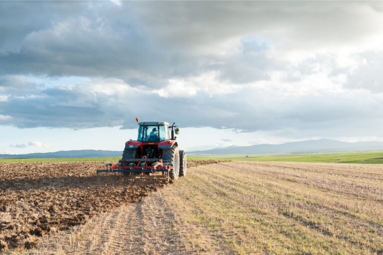 Novas regras para Fiagro entram em vigor em março de 2025; veja detalhes