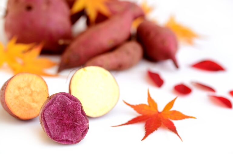 Tipos de batata-doce: conheça os principais e como escolher para cultivar