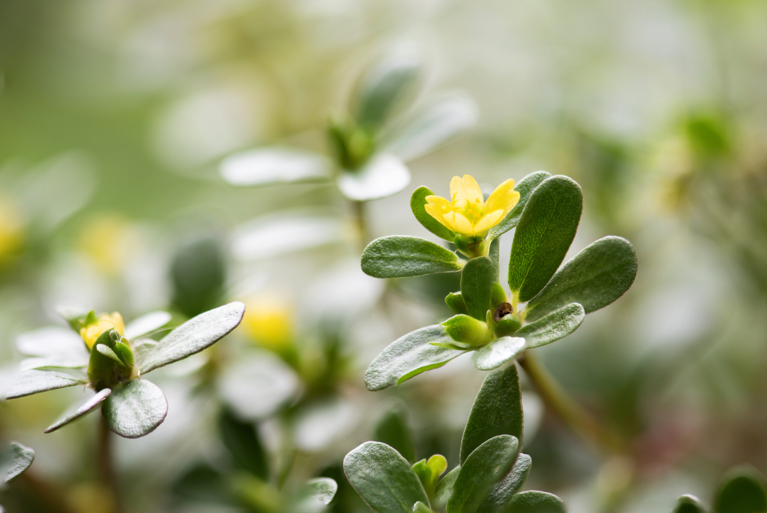 Foto: Adobe Stock