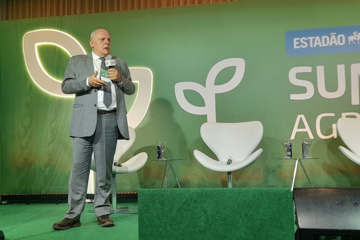 Foto: Igor Savenhago/Agro Estadão