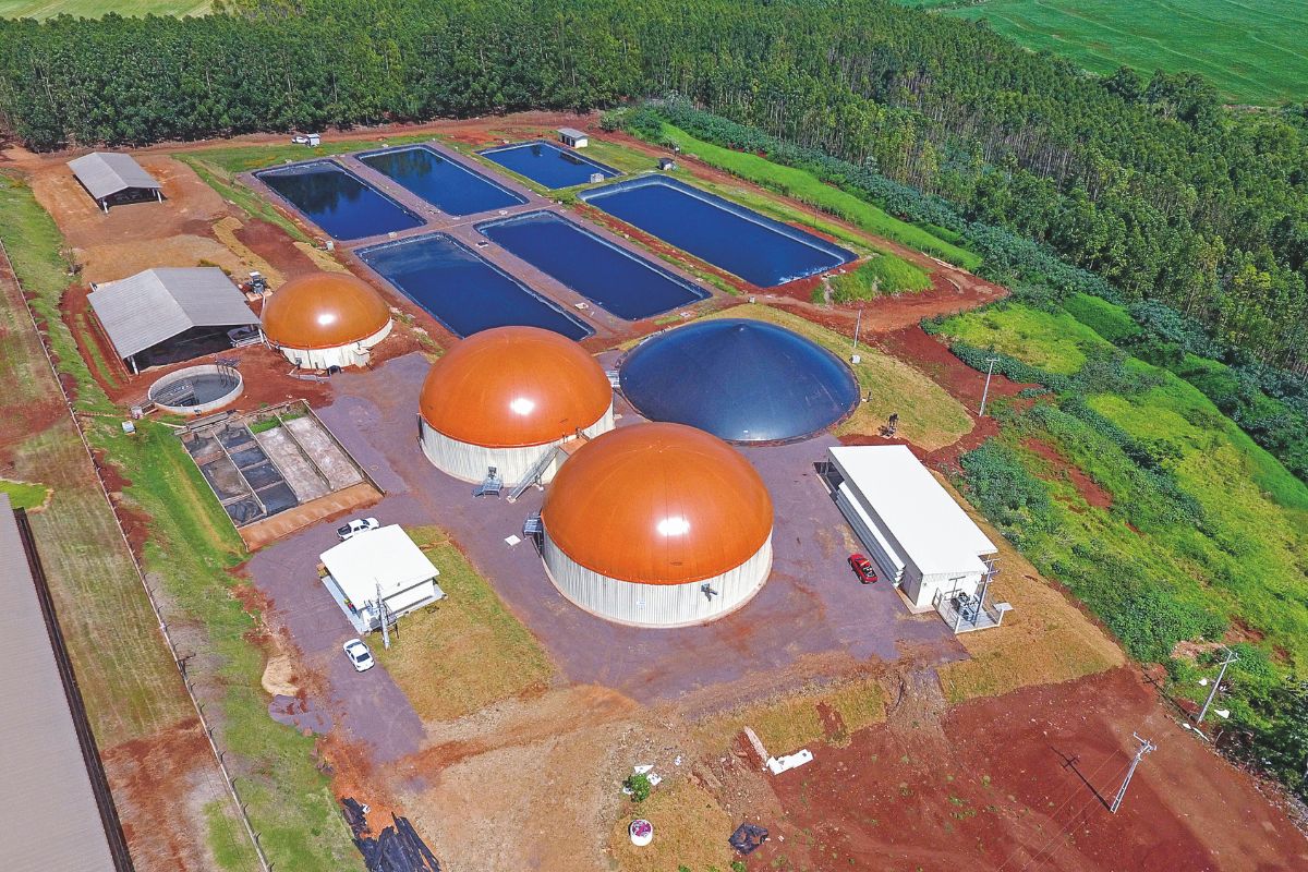A partir de dejetos de animais e resíduos industriais, Copacol produz energia suficiente para as quatro unidades. Foto: Copacol/Divulgação