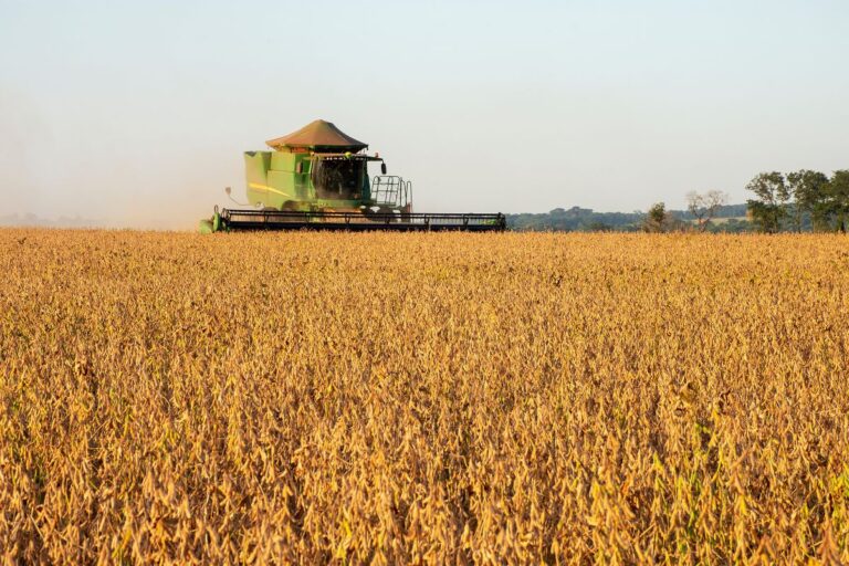 Brasil ganha força como exportador de alimentos 