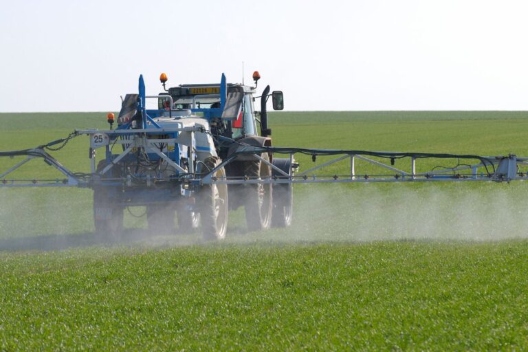 Área com uso de defensivos agrícolas cresce 10,9% nos primeiros nove meses de 2024 