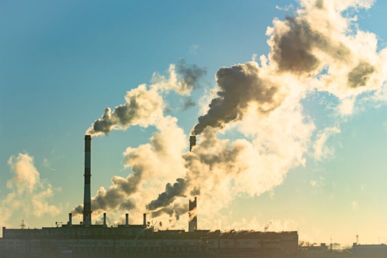 Senado aprova regulamentação do mercado de crédito de carbono
