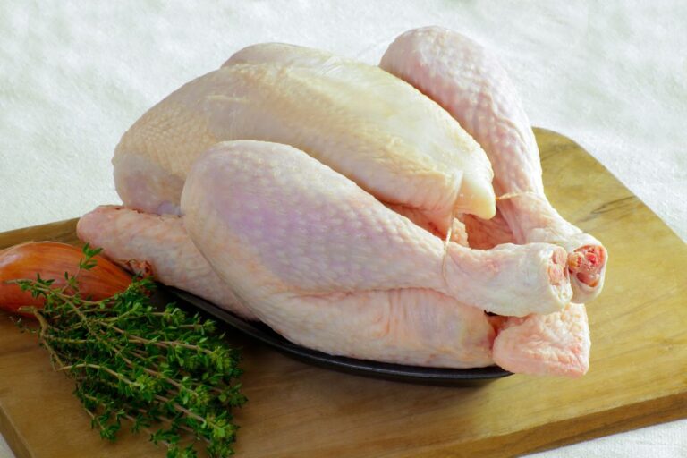 Exportações de carne de frango crescem 15,4% em outubro