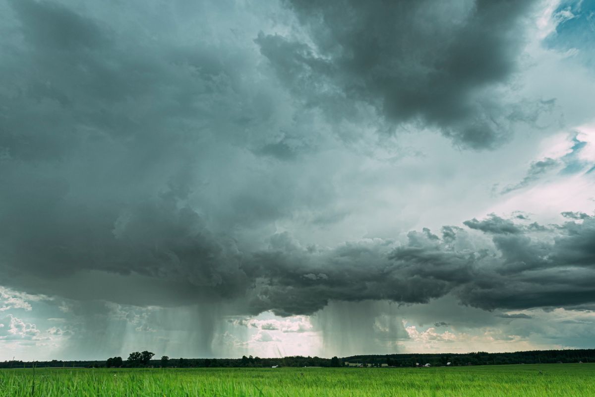 Foto: Adobe Stock
