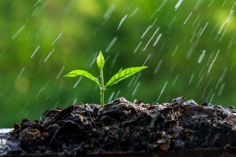 Chuva no Centro-Norte e temperaturas mais baixas no Centro-Sul: confira o clima no fim de semana