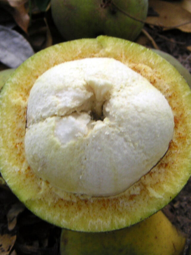 Nome Categoria