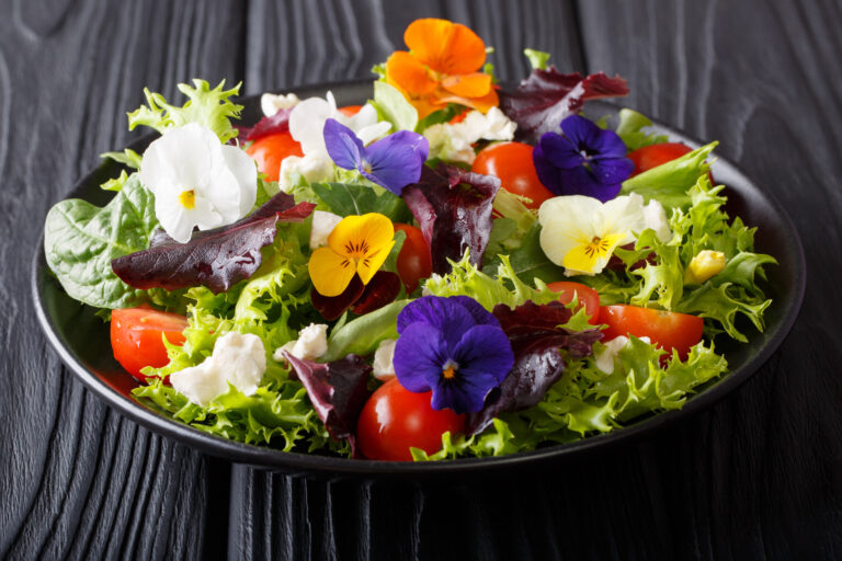 Flores comestíveis: conheça as principais e como cultivar