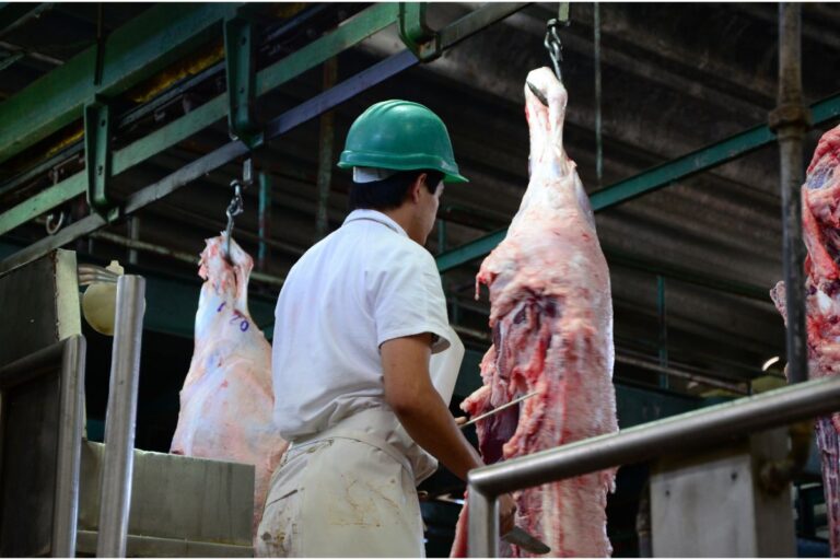 Mais 19 frigoríficos ficam habilitados para exportar carne à África do Sul