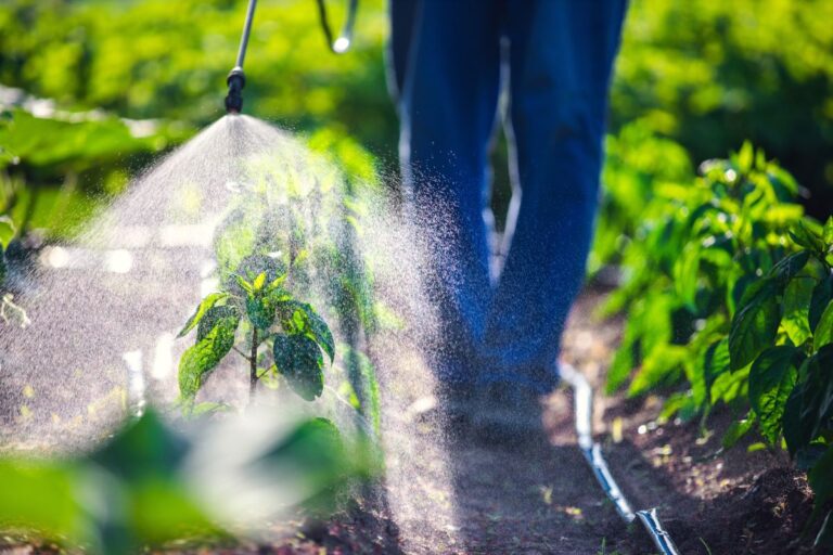 Mapa autoriza aplicação em plantas de 21 novos inseticidas à base de imidacloprido
