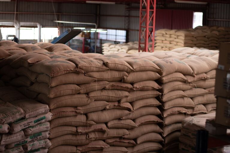 Brasil acumula 1,7 milhões de sacas de café paradas nos portos