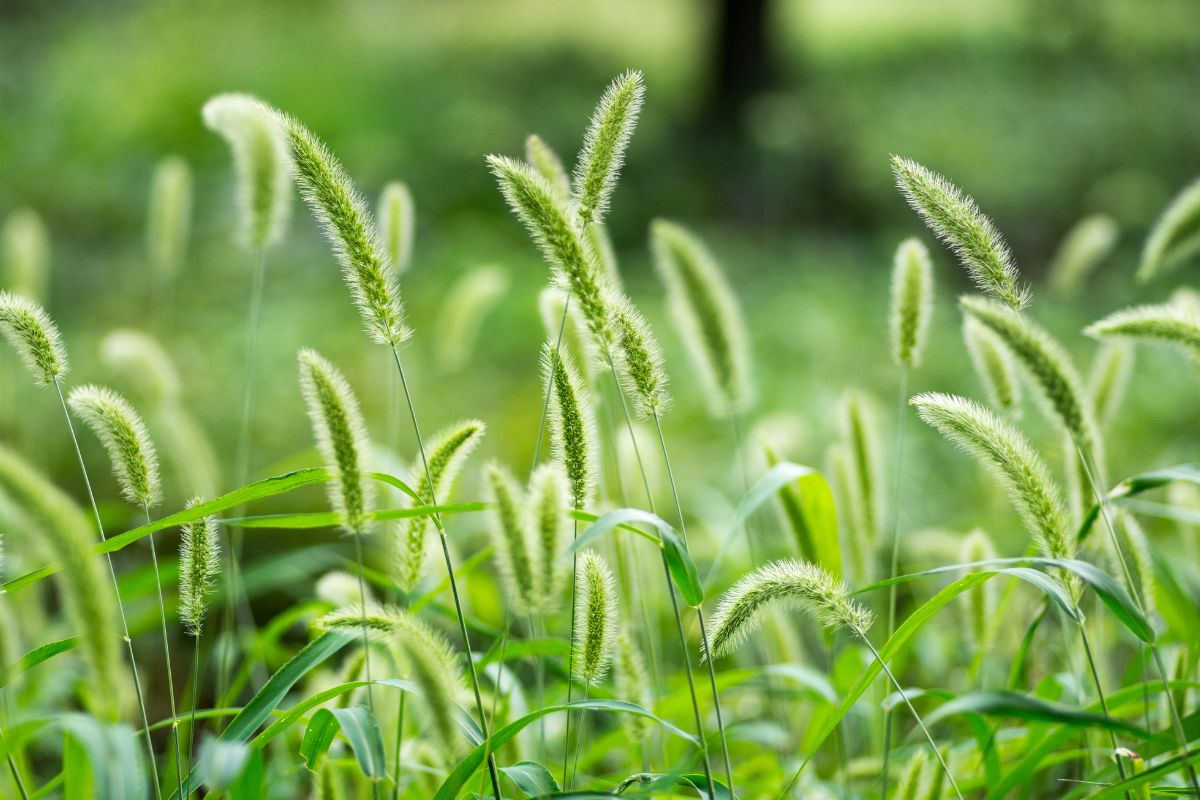 Foto: Adobe Stock