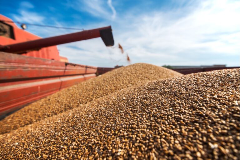 Brasil deve exportar até 11,2 milhões de toneladas de soja em fevereiro